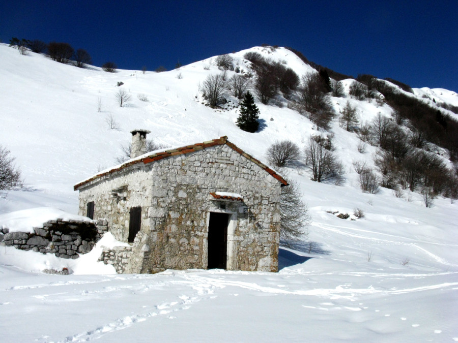 Foto di Roberto Mazzoli